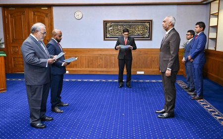 އެޗްއާރްސީއެމްގެ މެމްބަރުކަމަށް ދެ ބޭފުޅަކު އައްޔަންކުރައްވައިފި