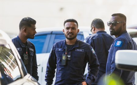 ބިދޭސީން ދިރިއުޅޭ ސައިޓަކުން ވަގަށްނެގި ޑޮލަރުތަކެއް ހޯދައި ވެރިފަރާތާ ހަވާލުކޮށްފި