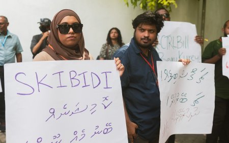 މީޑިއާ ކޮންޓްރޯލް ކޮމިޝަންގެ ވަގުތީ ކޮމިޓީ އެކުލަވާލައިފި