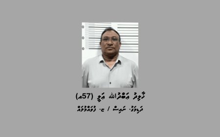 އުމުރުން ދުވަސްވީ މީހެއްގެ ގައިގައި ކާރުން ޖެހުމުން ފިލި މީހަކު ހައްޔަރުކޮށްފި
