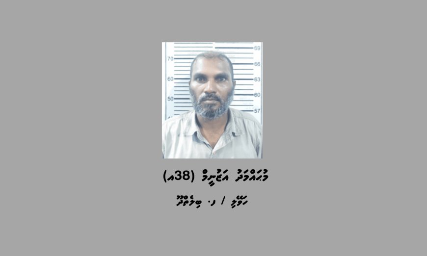 ބިލެތްދޫއަށް މަސްތުވާތަކެތި އެތެރެކުރަން އުޅުނު މީހަކު ހައްޔަރުކޮށްފި