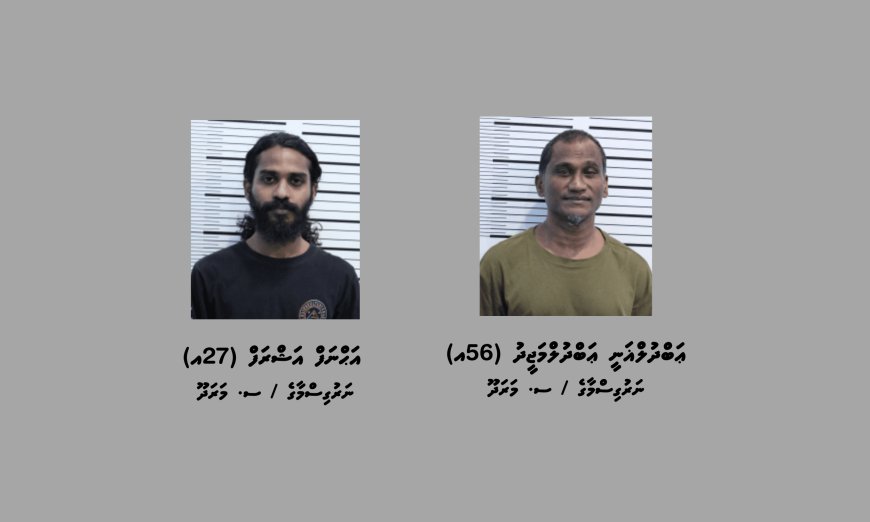 ގިނަ އަދަދެއްގެ މަސްތުވާތަކެއްޗާއެކު މާލެއިން ދެމީހަކު ހައްޔަރުކޮށްފި