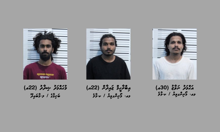 ގޭންގު ކުށްތަކާބެހޭ ހަރުކަށި ގާނޫނުގެ ދަށުން 3 މީހަކު ހައްޔަރުކޮށްފި