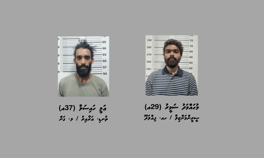 ވަޅިން ބިރުދައްކައި މީހަކު ބަރަހަނާކޮށް ފޭރުނު ދެމީހަކު ހައްޔަރުކޮށްފި