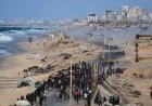 Palestinians Begin Returning to Gaza as Israel and Hamas Agree to Ceasefire Deal