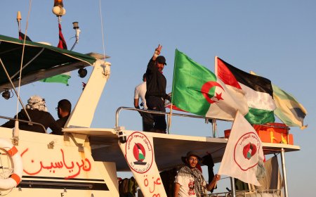 Global Sumud Flotilla Boat Reaches Gaza Despite Israeli Blockade