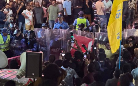 ލޫޓުވައިފި މުޒާހަރާ: އާޓިފިޝަލް ބީޗު ދޫކޮށް މަޖީދީ މަގަށް