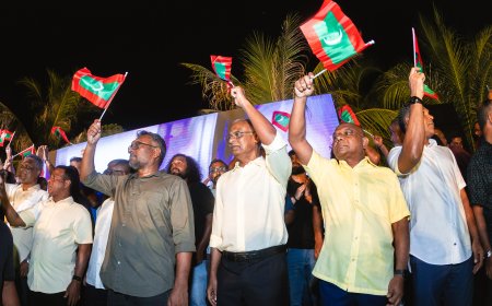 Inside the Power Struggle That Forced Fayyaz Out of the MDP Chair