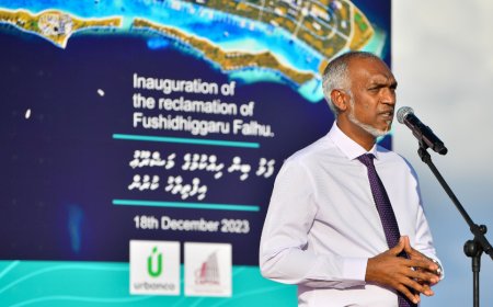 ރަސްމާލެ ޑިޒައިންކޮށް މާސްޓާ ޕްލޭނެއް ތައްޔާރުކޮށްދޭނެ ފަރާތެއް ހޯދަނީ
