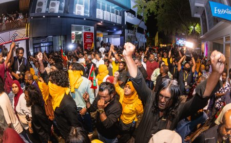 Parliament Rejects Inquiry Into Police Use of LRAD at Protest