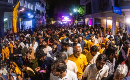 އިންތިހާބު ބާއްވަން އެމްޑީޕީގެ އެކްޓިވިސްޓުން ފަންޑްރައިސް ކުރަނީ