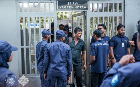 ޤަވާއިދާއި ޚިލާފަށް ވިޔަފާރިކުރަމުން ގެންދިޔަ 6 ބިދޭސީއަކު ހައްޔަރުކޮށްފި