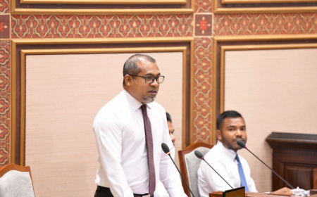 ޗައިނާއާއި ރާއްޖެއާއި ދެމެދު ސޮއިކޮށްފައިވާ ފަހުމުނާމާތައް ހާމަކުރުމަށް ސަރުކާރުން ދެކޮޅުހަދައިފި