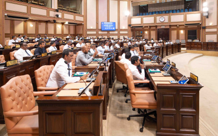 މަސްދަރު ހާމަކުރަން މަޖުބޫރު ކުރުވާ ބިލު މަޖިލީހަށް ބަލައިގަނެފި
