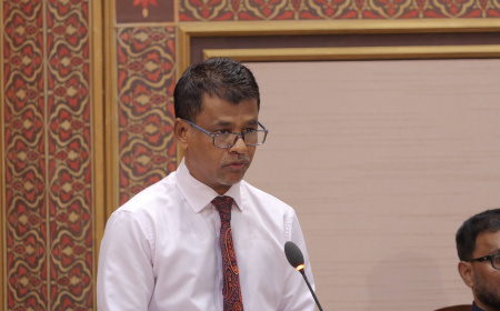 ބޭސް ނުލިބޭ މައްސަލަ ހައްލުކުރަން ރާއްޖޭގައި ބޭސް އުފައްދަނީ