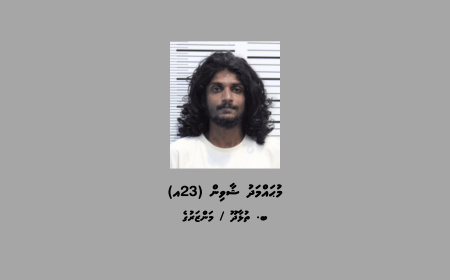 މަކަރާއި ހީލަތުން ފައިސާ ހޯދަމުންދިޔަ މީހަކު ހައްޔަރުކޮށް، ގެއްލުނު ފައިސާ ހޯދައިފި