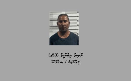 މާމެންދޫ އަށް މަސްތުވާތަކެތި އެތެރެކުރަން އުޅުުނު މީހަކު ހައްޔަރުކޮށްފި