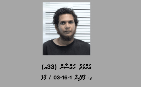 ވައިބާ ހެކްކޮށްގެން ދޮޅުލައްކަ ރުފިޔާ ފޭރުނު މީހަކު ހައްޔަރުކޮށްފި