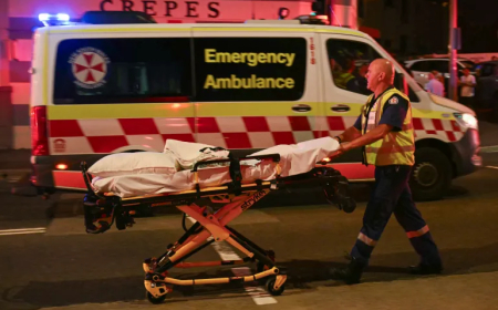 Maldives condemns Sydney shooting, expresses solidarity with Australia