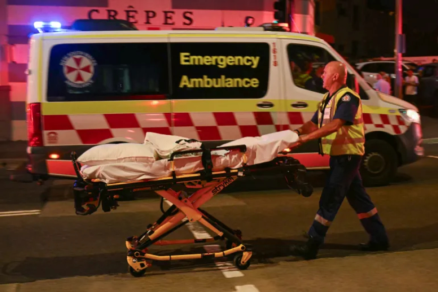 Maldives condemns Sydney shooting, expresses solidarity with Australia