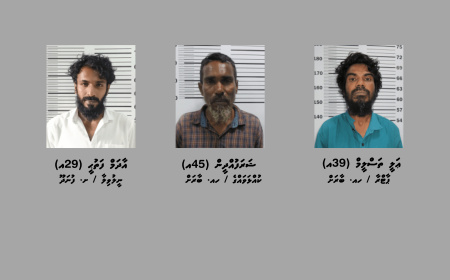 މަސްތުވާތަކެތި އެތެރެކުރަން އުޅުނު ތިން މީހަކު ބާރަށާއި ފުނަދޫއިން ހައްޔަރުކޮށްފި