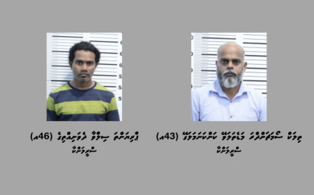 ވީއައިއޭގައި މާރާމާރީ ހިންގި ލަންކާ ދެ މީހުން 11 ދުވަސް ފަހުން ހައްޔަރުކޮށްފި