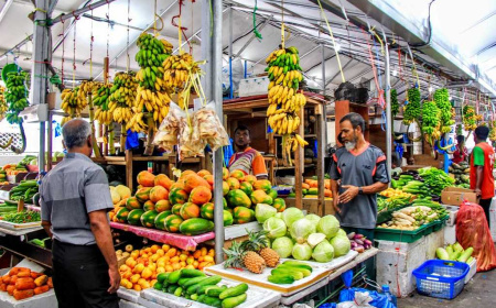 ރޯދަމަހަށް ޚާއްސަ ވަގުތީ މާރުކޭޓެއް ގާއިމްކުރަނީ