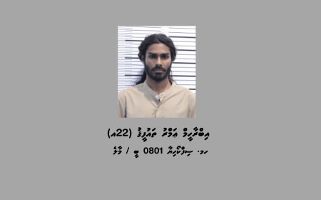 ބައިކިލޯ މަސްތުވާތަކެއްޗާއެކު ހުޅުމާލެއިން ޒުވާނަކު ހައްޔަރުކޮށްފި