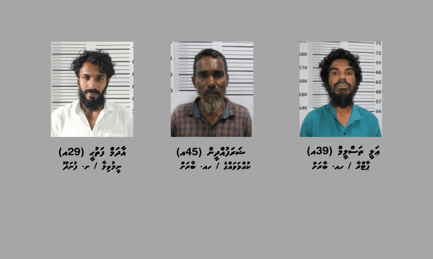 މަސްތުވާތަކެތި އެތެރެކުރަން އުޅުނު ތިން މީހަކު ބާރަށާއި ފުނަދޫއިން ހައްޔަރުކޮށްފި