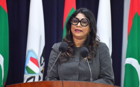 Former Defence Minister Calls for Staggered Parliamentary Elections
