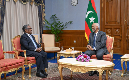 Former President Waheed Resigns as Special Adviser Amid Epstein Link Allegations