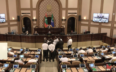 ރިޔާސަތުން ގަވައިދާ ހިލާފުވިކަމުގެ ޒުވާބާއެކު، އިދިކޮޅު މެންބަރުން ތަޅުމުން ބޭރުކޮށްފި
