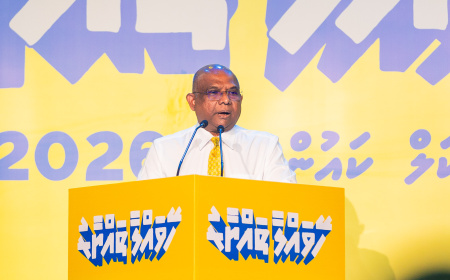 ދެ އިންތިހާބު އެއްކޮށްލުމުގެ ވޯޓަށްފަހު ދެން ނަގާނީ ދައުރު ދަންމާލާ ވޯޓު: ޝާހިދު