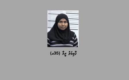 ކުޑަކުއްޖަކު ގްރޫމްކޮށް، ޖިންސީ ގޯނާކުރި ކަމުގެ ތުހުމަތުގައި އަންހެނަކު ހައްޔަރުކޮށްފި