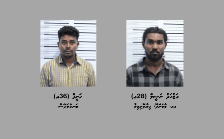 ތިން ކިލޯގެ މަސްތުވާތަކެއްޗާއެކު ދެ މީހަކު ހައްޔަރުކޮށްފި