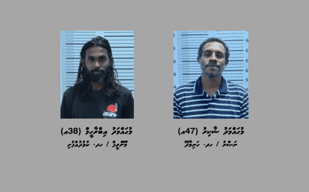 މަސްތުވާތަކެތީގެ ވިޔަފާރި ކުރަމުންދިޔަ ދެމީހަކު ކުޅުދުއްފުށިން ހައްޔަރުކޮށްފި
