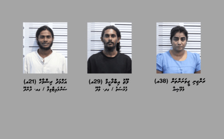 ދެ ކިލޯއަށް ވުރެ ގިނަ މަސްތުވާތަކެއްޗާއެކު ތިން މީހަކު ހައްޔަރުކޮށްފި