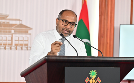ދޮޅު މަސްތެރޭ 7،000 ވޭޕް ސްޓިކާއި 2 މިލިއަނެއްހާ ސިނގިރޭޓު އަތުލައިގެންފި