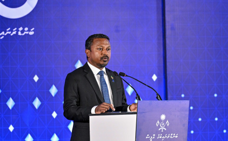 ގިނައިން އިންތިހާބު ބޭއްވުމުން ގައުމުގެ ހަމަޖެހުމާއި އިގްތިސާދަށް ނޭދެވޭ އަސަރު ކުރޭ: އުޝާމް