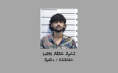 ހިޔާރޯދީގައި އަލިފާން ރޯކޮށްލި ކަމަށް ތުހުމަތުކުރެވޭ މީހާ ހައްޔަރުކޮށްފި