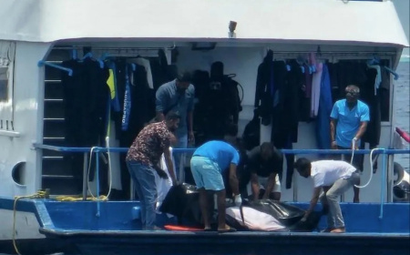 ދޯންޏެއްގެ ބުރަފަތީގައި ޖެހި ފަތުރުވެރިޔަކު މަރުވެއްޖެ
