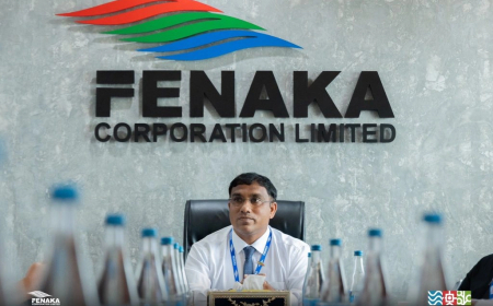 ފެނަކަ އެމްޑީ ނަޖާހު މަގާމުން ވަކިކޮށްފި