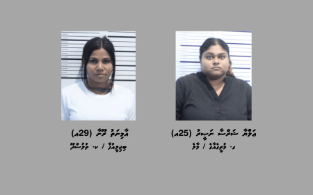 މަސްތުވާތަކެތި އެތެރެކުރިކަމުގެ ތުހުމަތުގައި ދެމީހުން ހައްޔަރުކޮށްފި