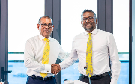 Nasheed - Fayyaz Alliance Sealed: Dual Endorsement Reshapes MDP Power Battle