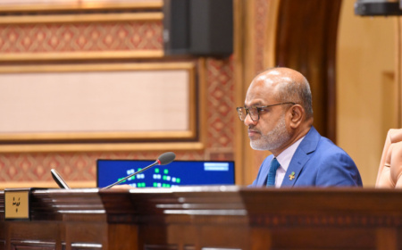 މާލިއްޔަތު ކޮމިޓީ އާއި ސަލާމަތީ ހިދުމަތްތަކާ ބެހޭ ކޮމިޓީން ނާޒިމް ވަކިކޮށްފި