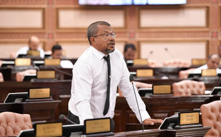 ޕީސީބީން ޒިންމާ އަދާކުރޭތޯ ބަލަން ރައްޔިތުންގެ މަޖިލީހަށް ހުށަހަޅައިފި