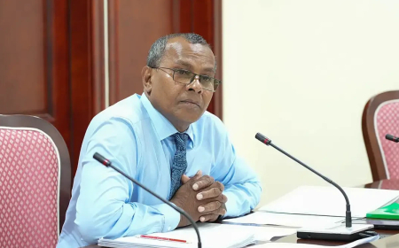 އެމްޑީޕީގެ އިންތިހާބާއި ބެހޭ ކޮމިޓީގެ މުގައްރިރު ފަލާހު މަގާމުން ތަނާޒުލް ވެއްޖެ