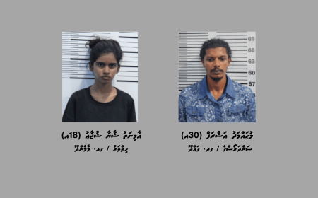 މަސްތުވާތަކެތީގެ މައްސަލައެއްގައި ގދ. ވާދޫއިން ދެމީހުން ހައްޔަރުކޮށްފި
