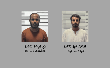މަސްތުވާތަކެތީގެ މައްސަލައެއްގައި ނ. އަތޮޅުން ދެމީހުން ހައްޔަރުކޮށްފި