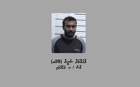 މާފުށީ ޖަލަށް ގިނަ އަދަދެއްގެ ފޯނު އެތެރެކުރަން އުޅުމުގެ ތުހުމަތުގައި މީހަކު ހައްޔަރުކޮށްފި